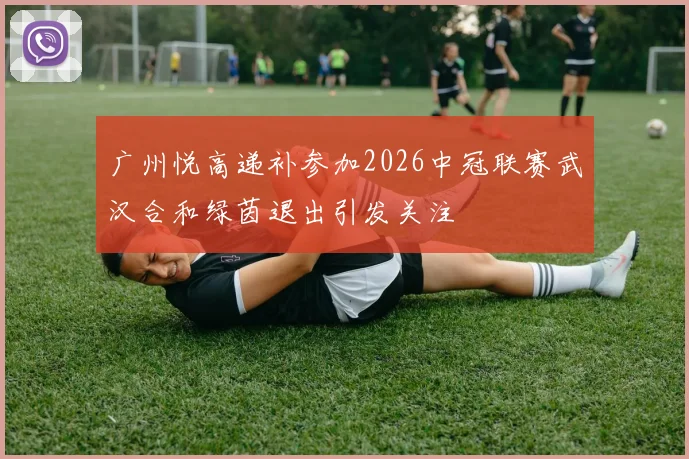广州悦高递补参加2026中冠联赛武汉合和绿茵退出引发关注